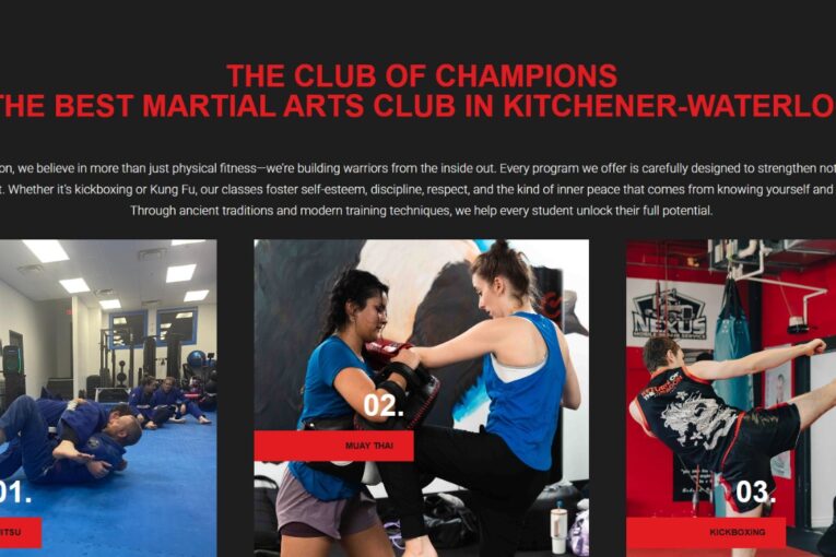 Case Study: Return of the Dragon Martial Arts